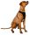 Kutya hám (elülső mellkasra) 67,6-106,5 cm, Large