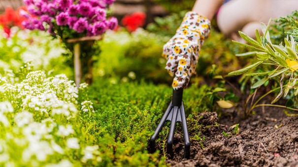 Kertészkedés közben viselj kesztyűt a vágások és sérülések elkerülése érdekében!
